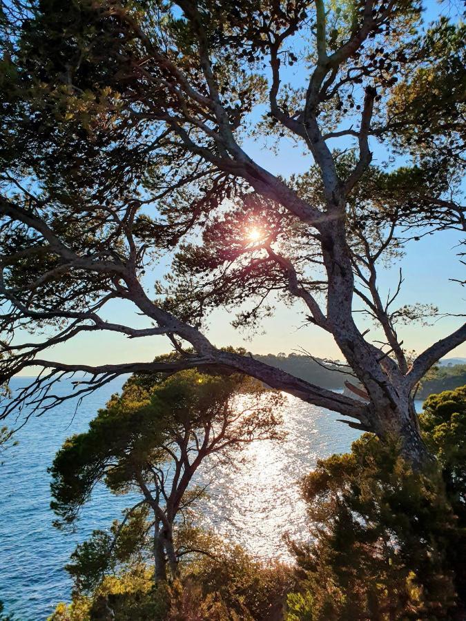 Le Nid De Darshan 2 Personnes Collobrières Exteriér fotografie